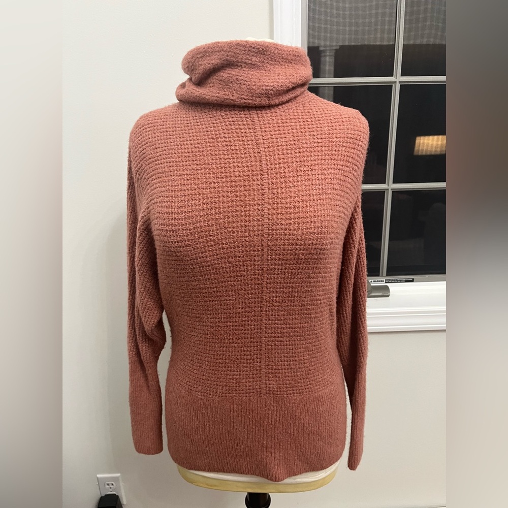 Express turtle neck long‎ sleeve sweater in rust size XS
